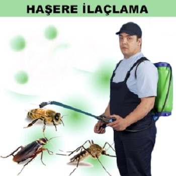 Söğütlü Böcek İlaçlama